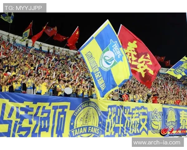 西安足球赛激情四溢球迷齐聚共庆盛事展现城市活力与团结精神